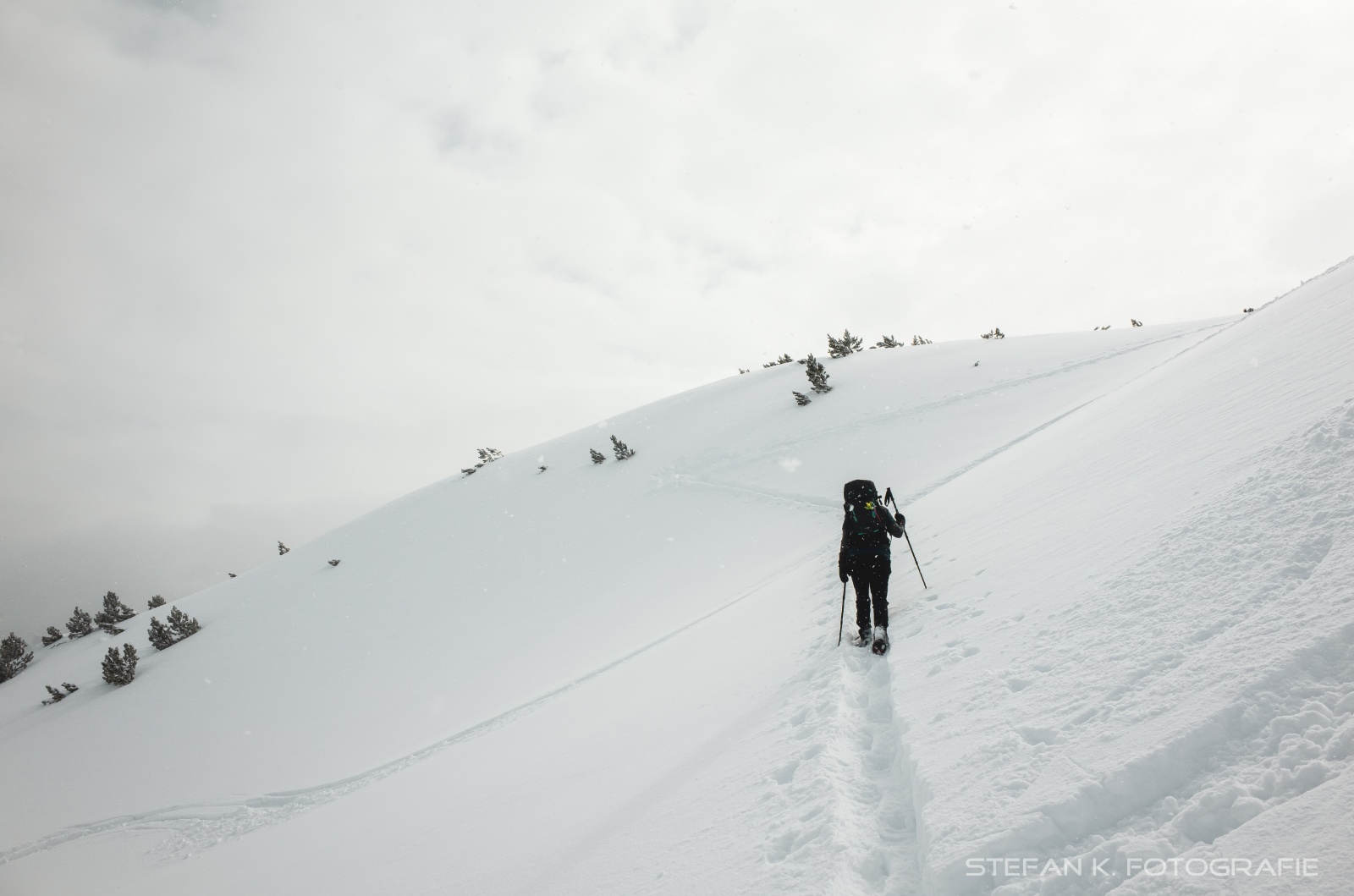 oberhalb der Baumgrenze